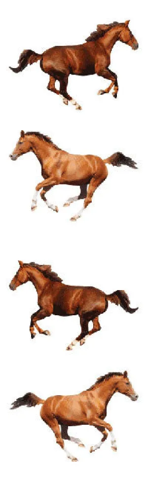 Galloping Horses Stickers