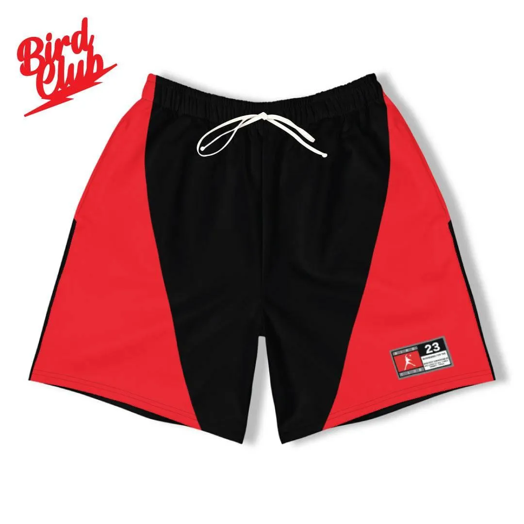 Retro Style Air Jordan-Like shorts