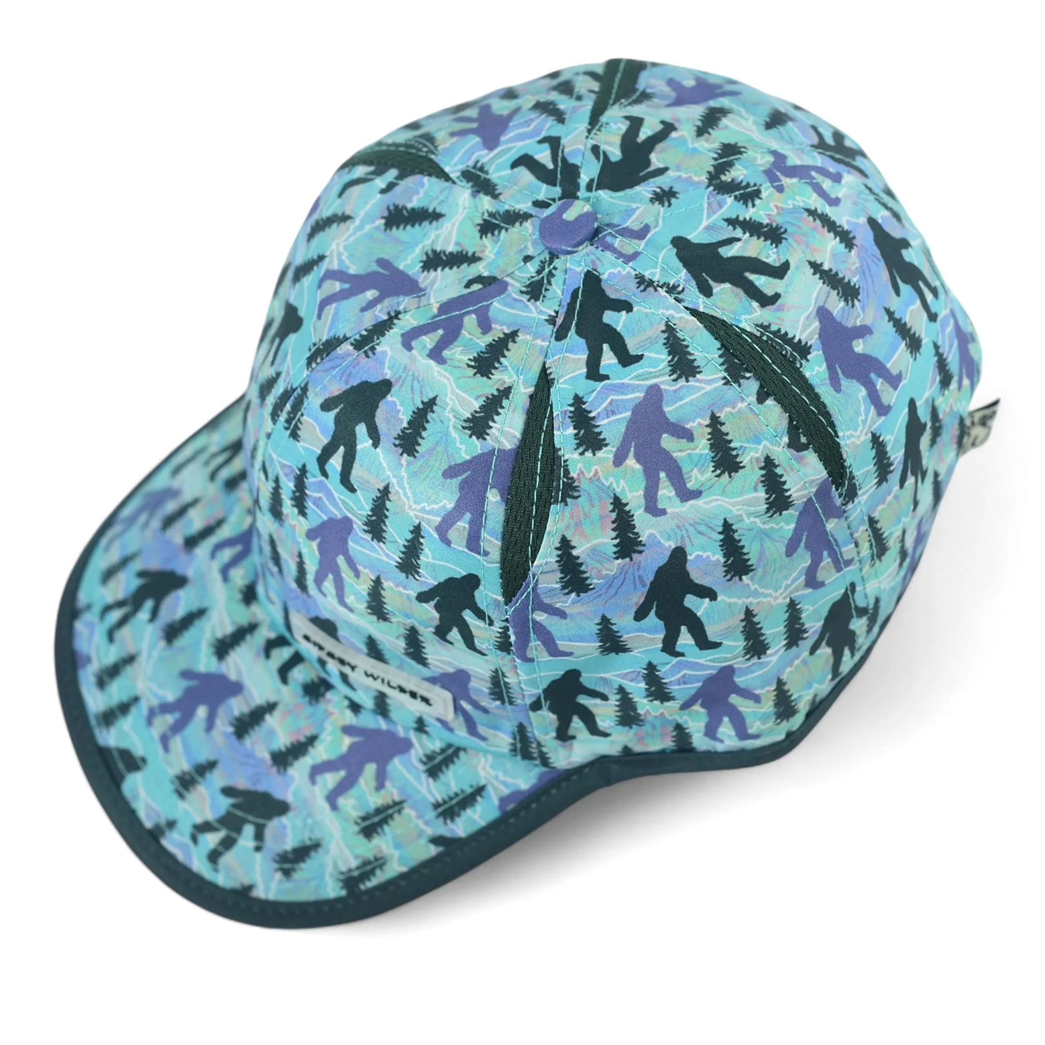 Sasquatch Mountain Active Hat